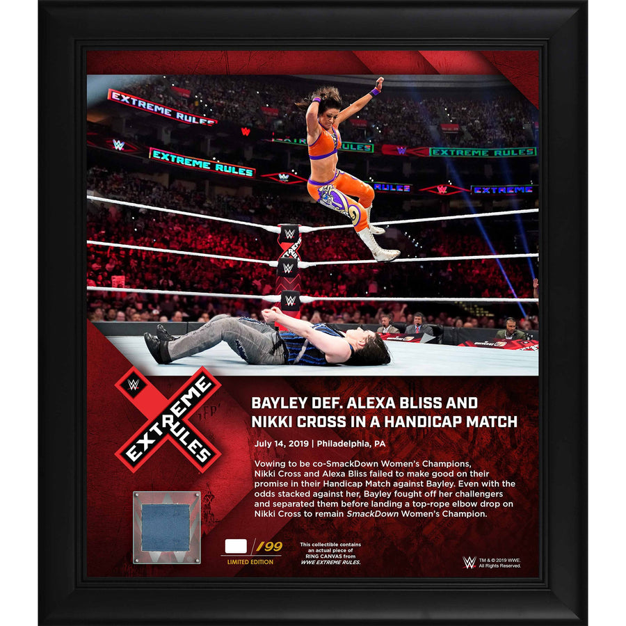 Bayley Framed 15" x 17" 2019 Extreme Rules Collage with a Piece of Match-Used Canvas - Limited Edition of 199