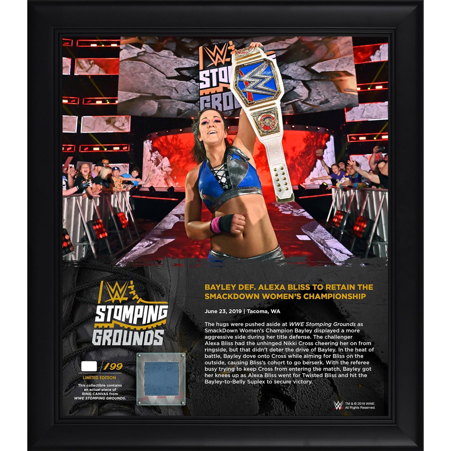Bayley Framed 15" x 17" 2019 Stomping Grounds Collage with a Piece of Match-Used Canvas - Limited Edition of 199