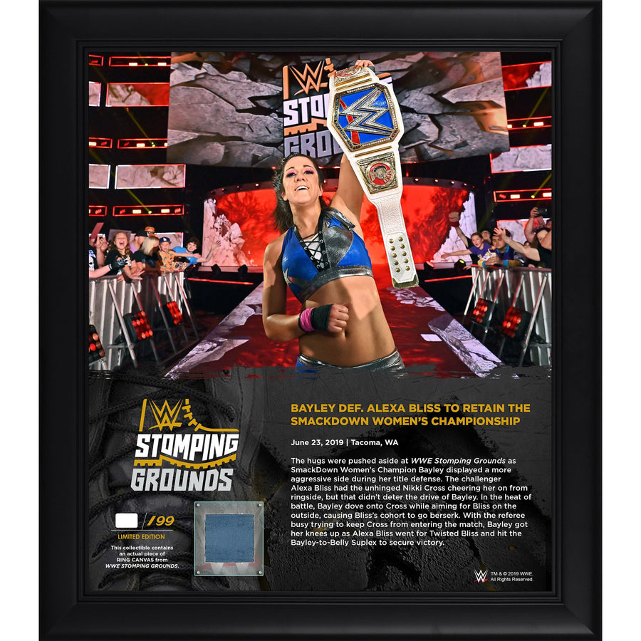 Bayley Framed 15" x 17" 2019 Stomping Grounds Collage with a Piece of Match-Used Canvas - Limited Edition of 199