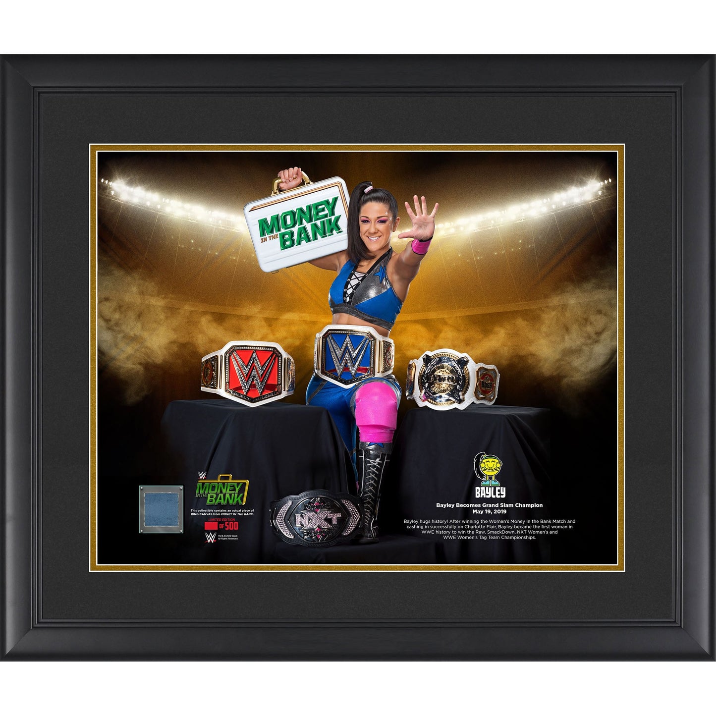 Bayley Framed 16" x 20" Grand Slam Champion Collage with a Piece of Match-Used Canvas - Limited Edition of 500