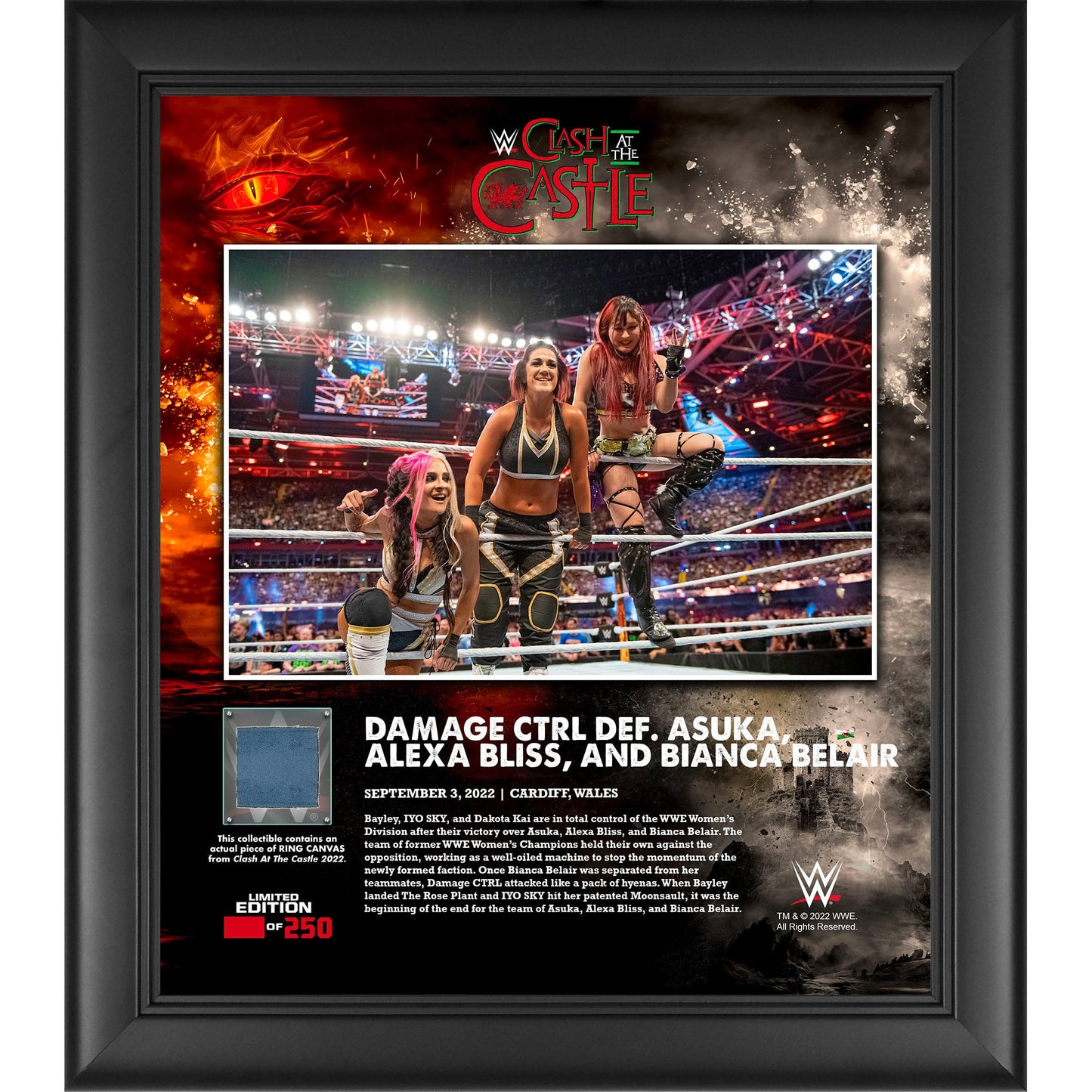 Bayley Iyo Sky and Dakota Kai of Damage CTRL WWE Framed 15" x 17" 2022 Clash at the Castle Collage with a Piece of Match-Used Canvas - Limited Edition of 250