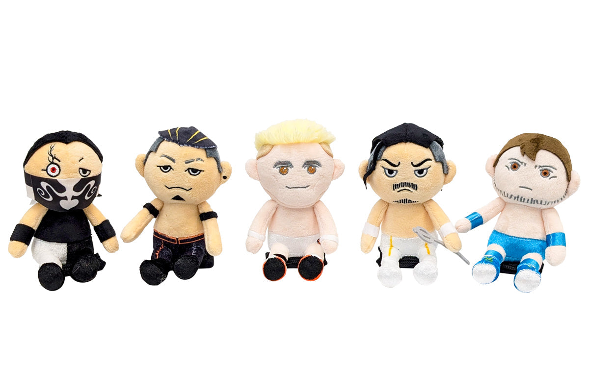 Pyonsuke Hirooki Goto Other Goods PW Catalog