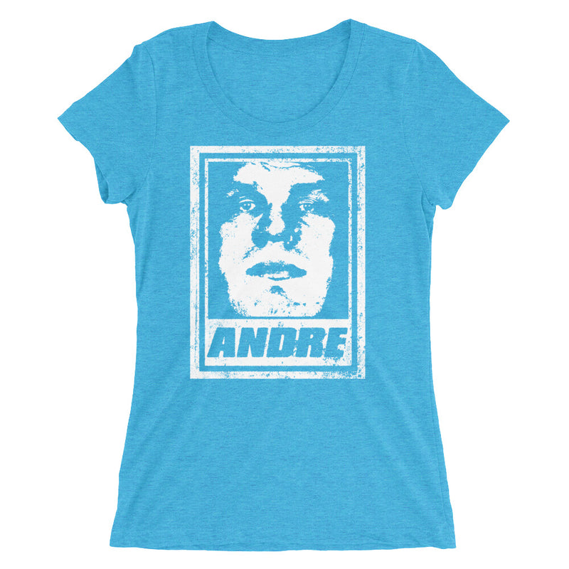 Andre the Giant "Street Art" Women's Tri-Blend T-Shirt T-Shirt PW Catalog