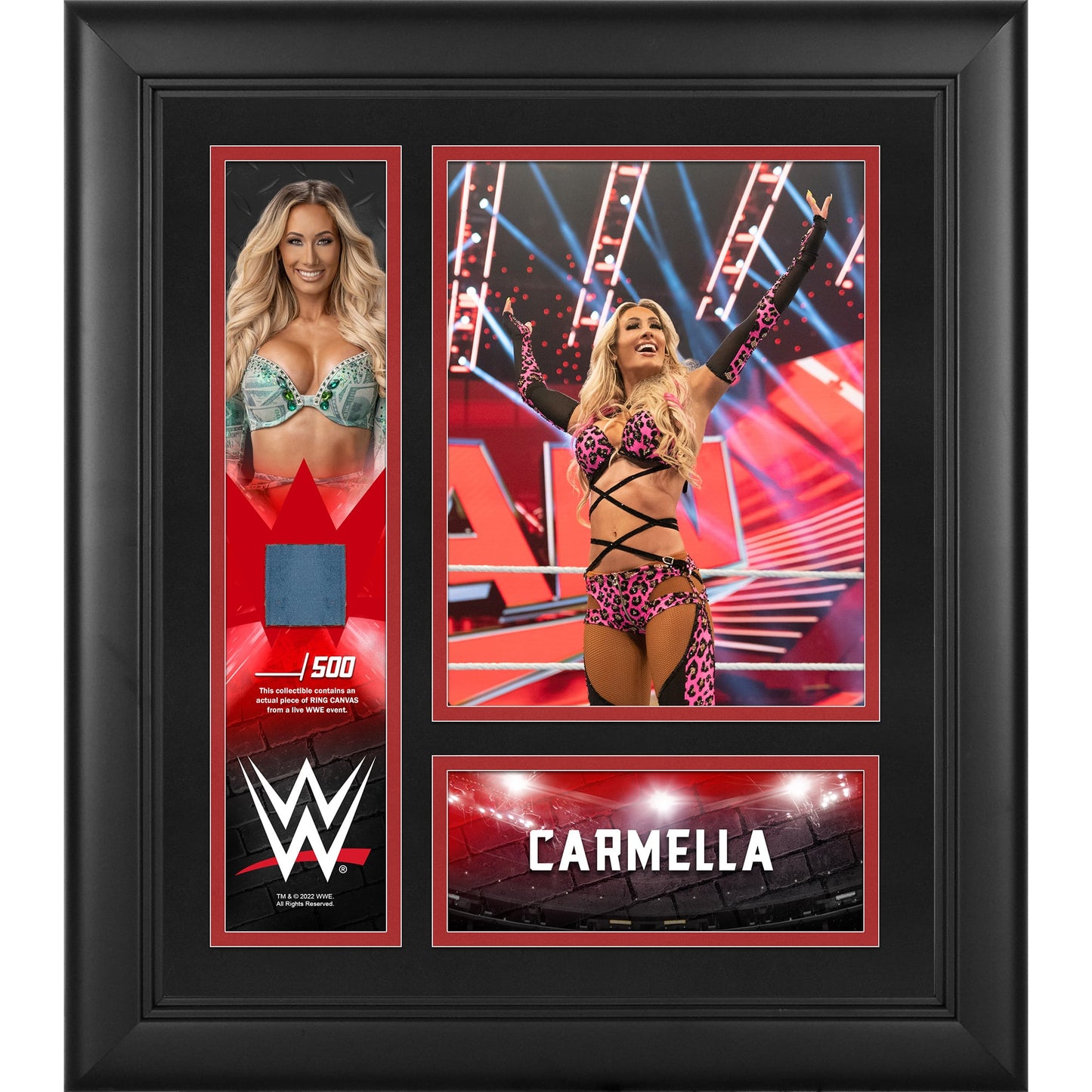 Carmella Framed 15" x 17" Collage with a Piece of Match-Used Canvas - Limited Edition of 500
