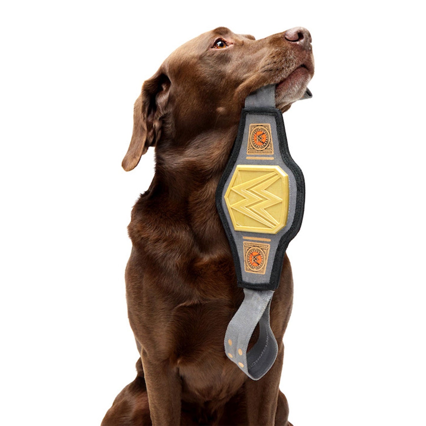 WWE Chompionship BarkBox Super Chewer Pet Toy