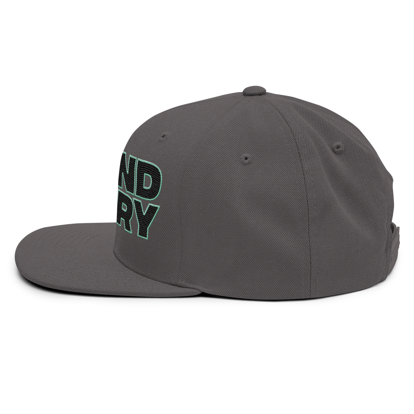TNA "Bound For Glory Logo" Snapback Hat Snapback PW Catalog