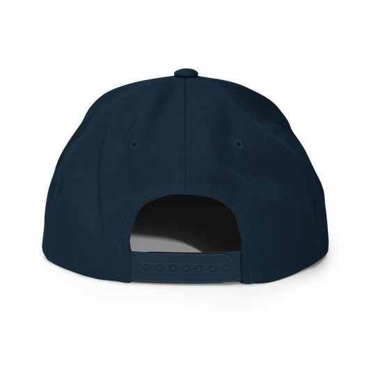TNA "Genesis Logo" Snapback Hat Snapback PW Catalog