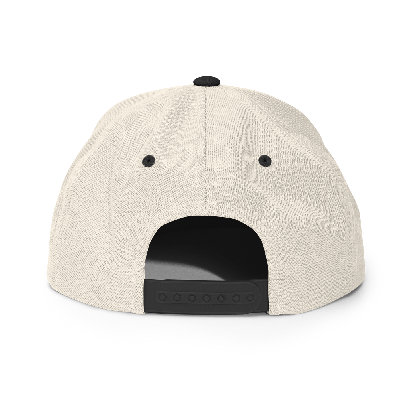 TNA Logo Snapback Hat Snapback PW Catalog