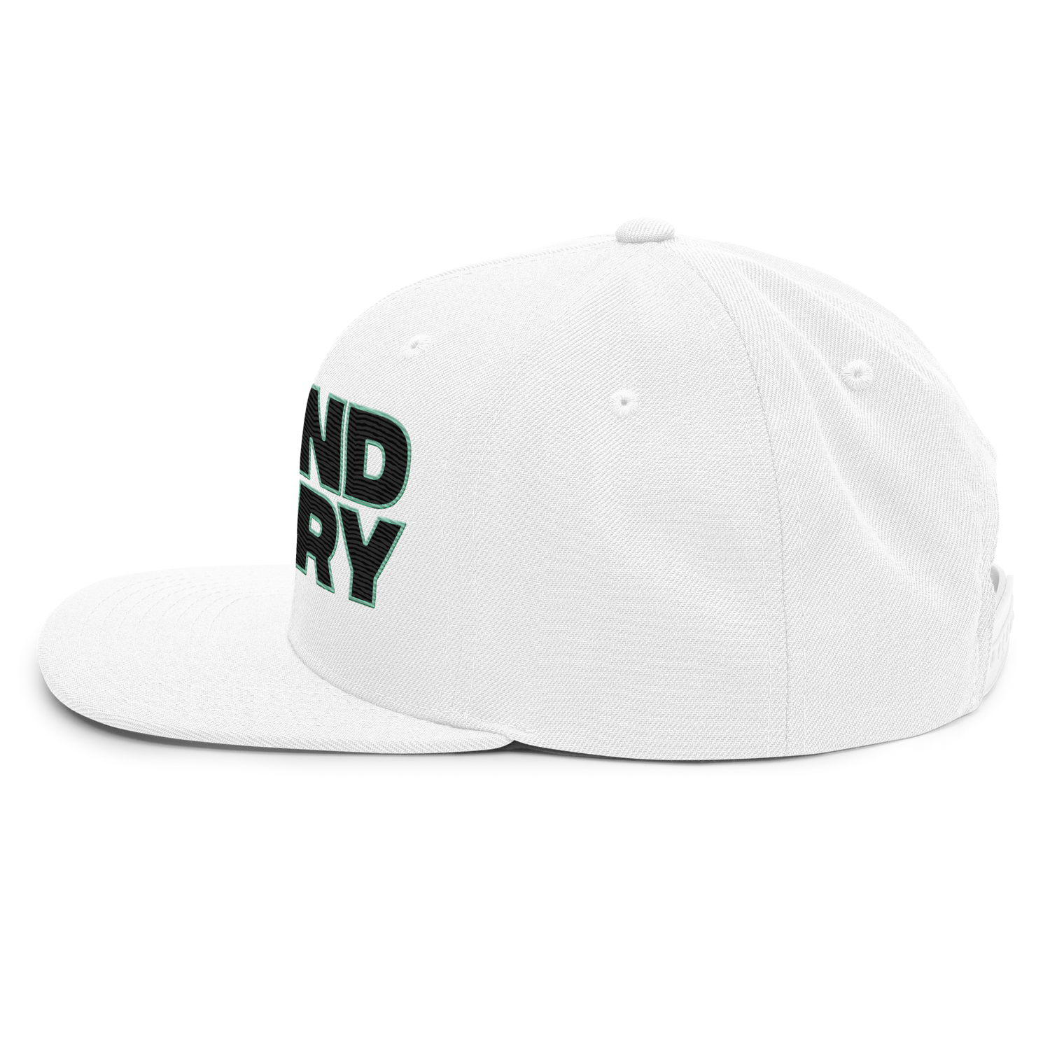 TNA "Bound For Glory Logo" Snapback Hat Snapback PW Catalog
