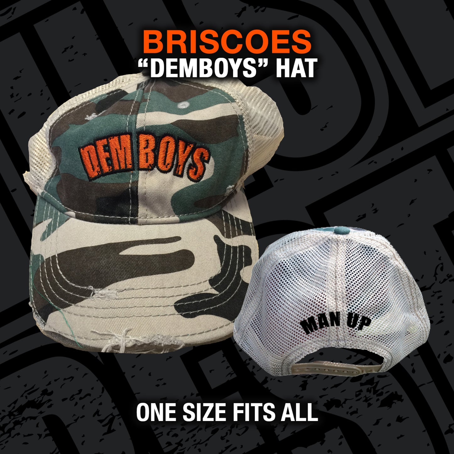Briscoes "Demboys" Camo Trucker Hat 2015
