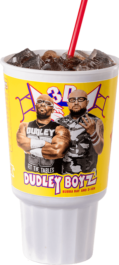 WWE Bojangles Cup Dudley Boyz 2024 "LEGENDARY TAG TEAM" PWcatalog