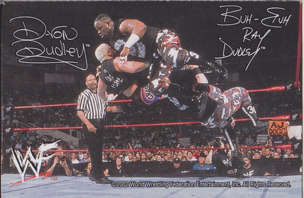 Dudley Boyz WWF Ice Cream Cut-out 2002 Good Humor