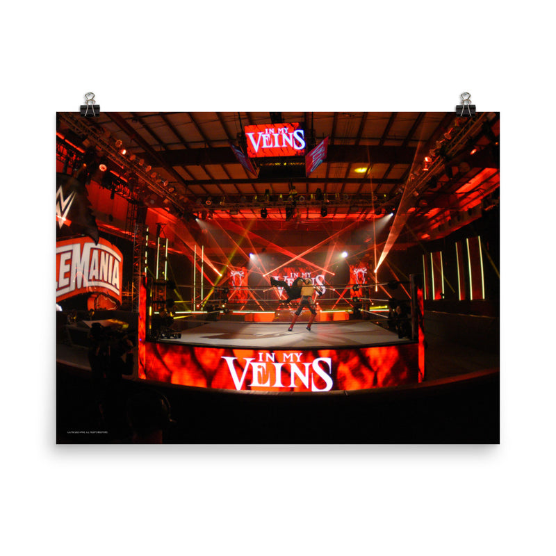 Randy Orton "WrestleMania 36 RKO" 18" x 24" Photo Poster