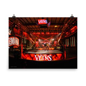 Randy Orton "WrestleMania 36 RKO" 18" x 24" Photo Poster Wall art PW Catalog