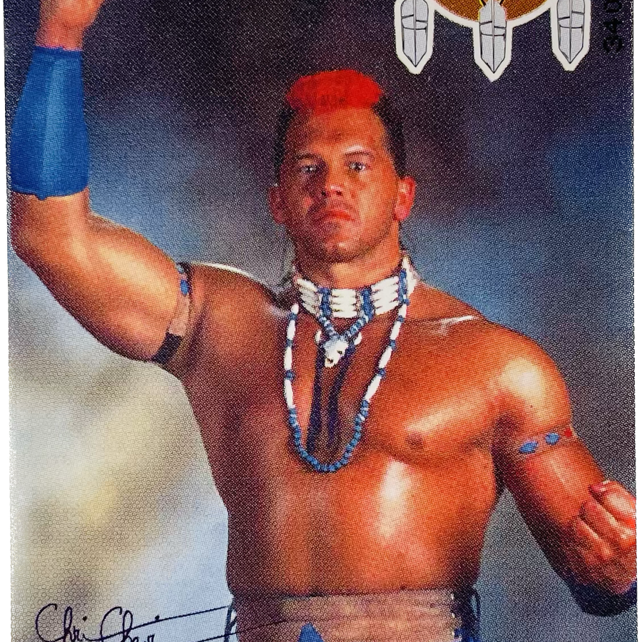 Tatanka German Phone Card Pwcatalog