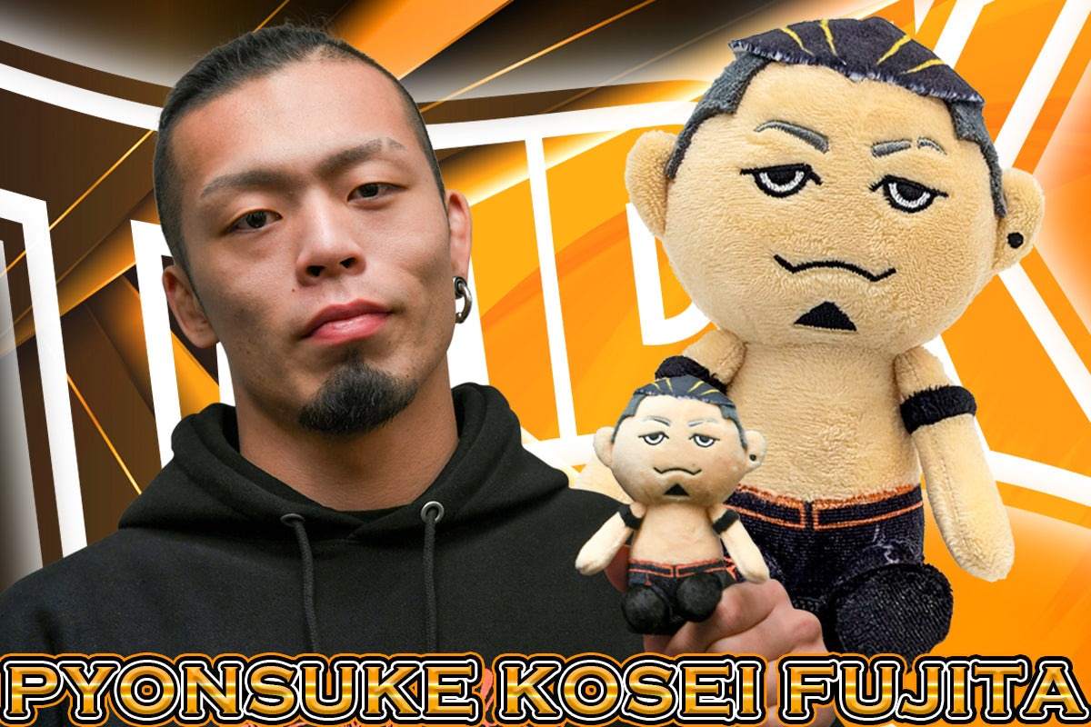 Pyonsuke Kosei Fujita Other Goods PW Catalog