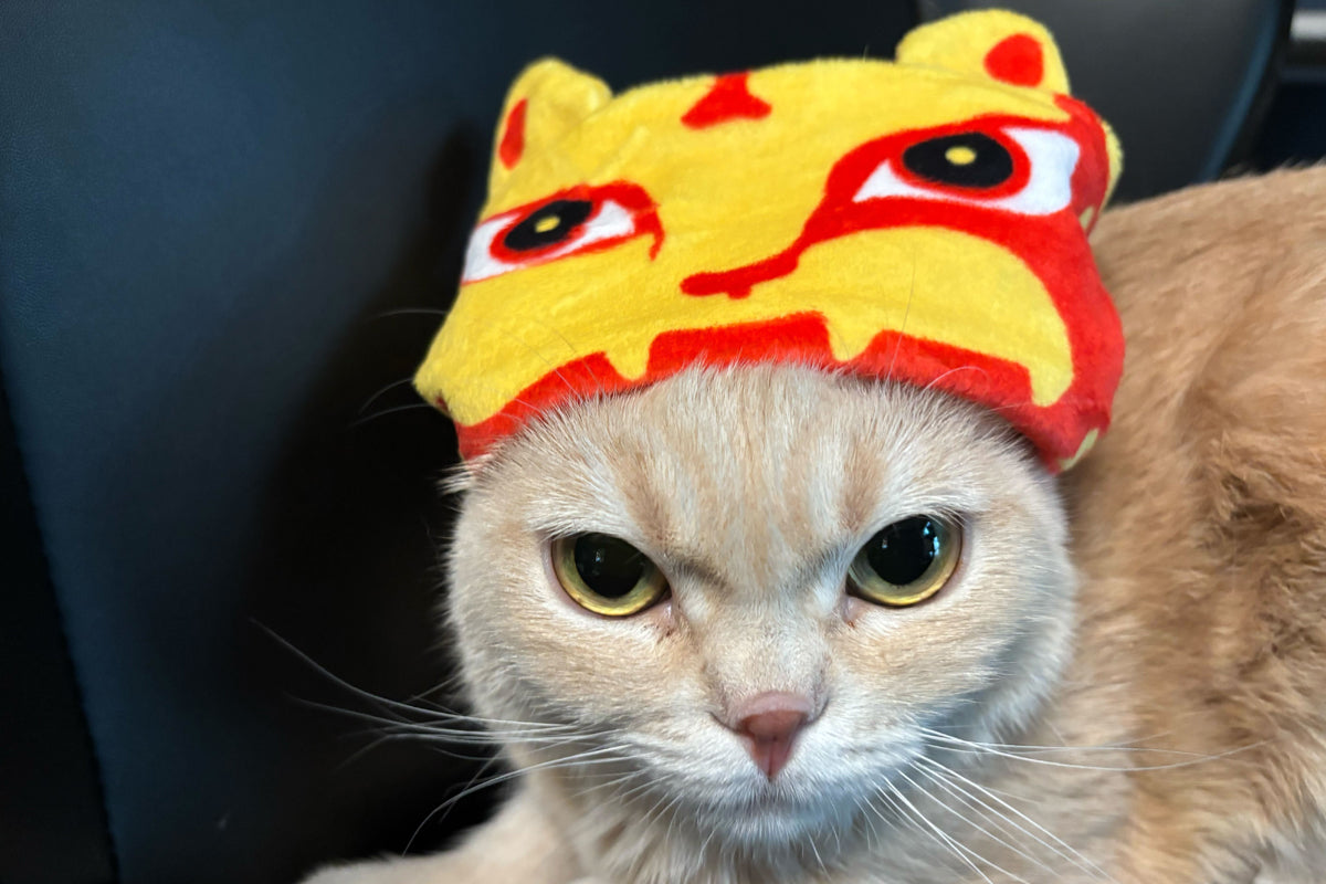 Lion Mark Reversible Headband Other Goods PW Catalog