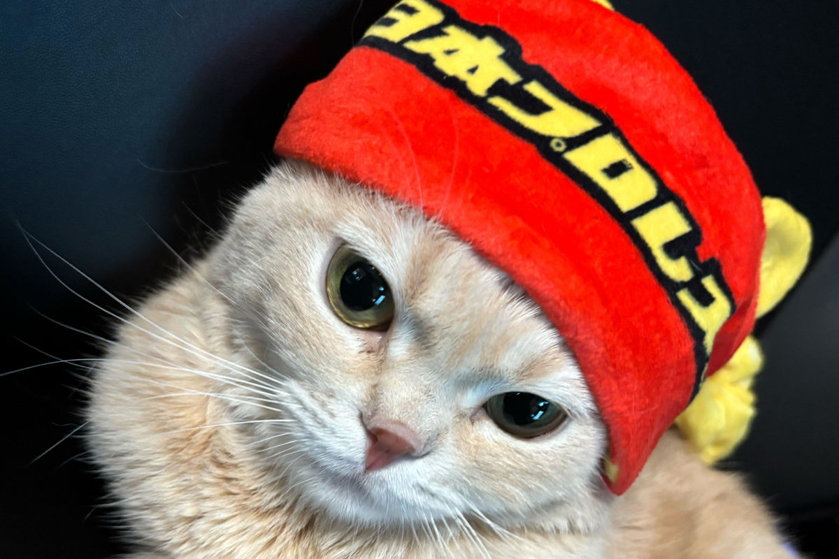 Lion Mark Reversible Headband Other Goods PW Catalog