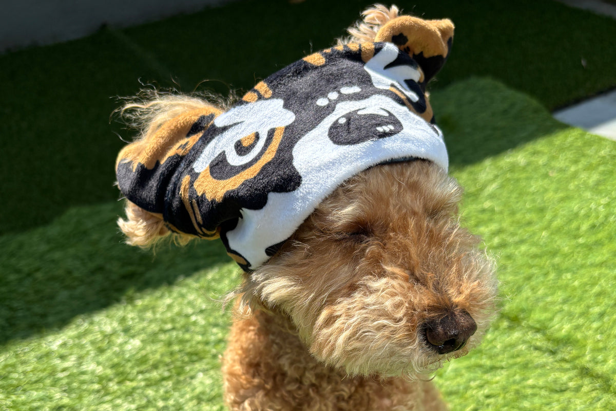 Aaron Wolf Reversible Headband Other Goods PW Catalog