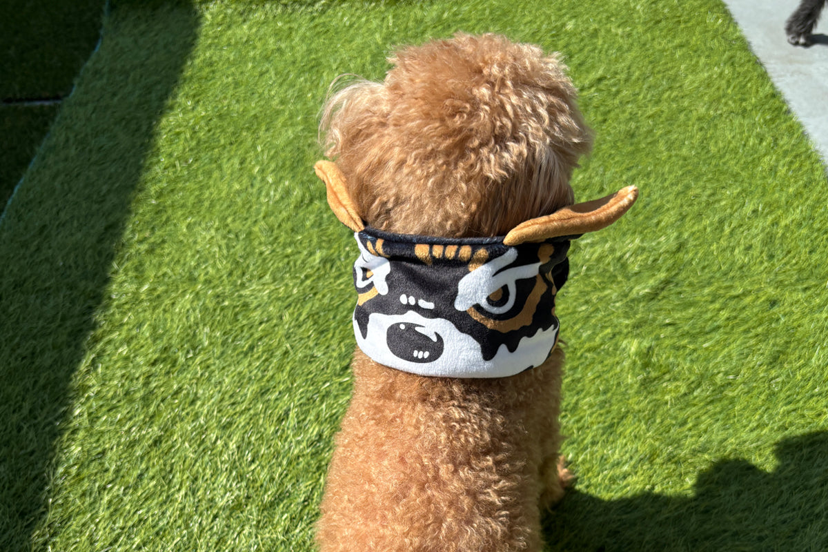 Aaron Wolf Reversible Headband Other Goods PW Catalog