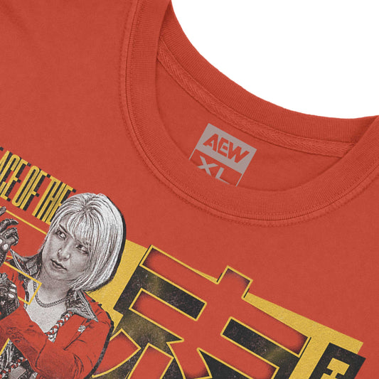 Hikaru Shida The Ace of the Division T-Shirt T-Shirt PW Catalog