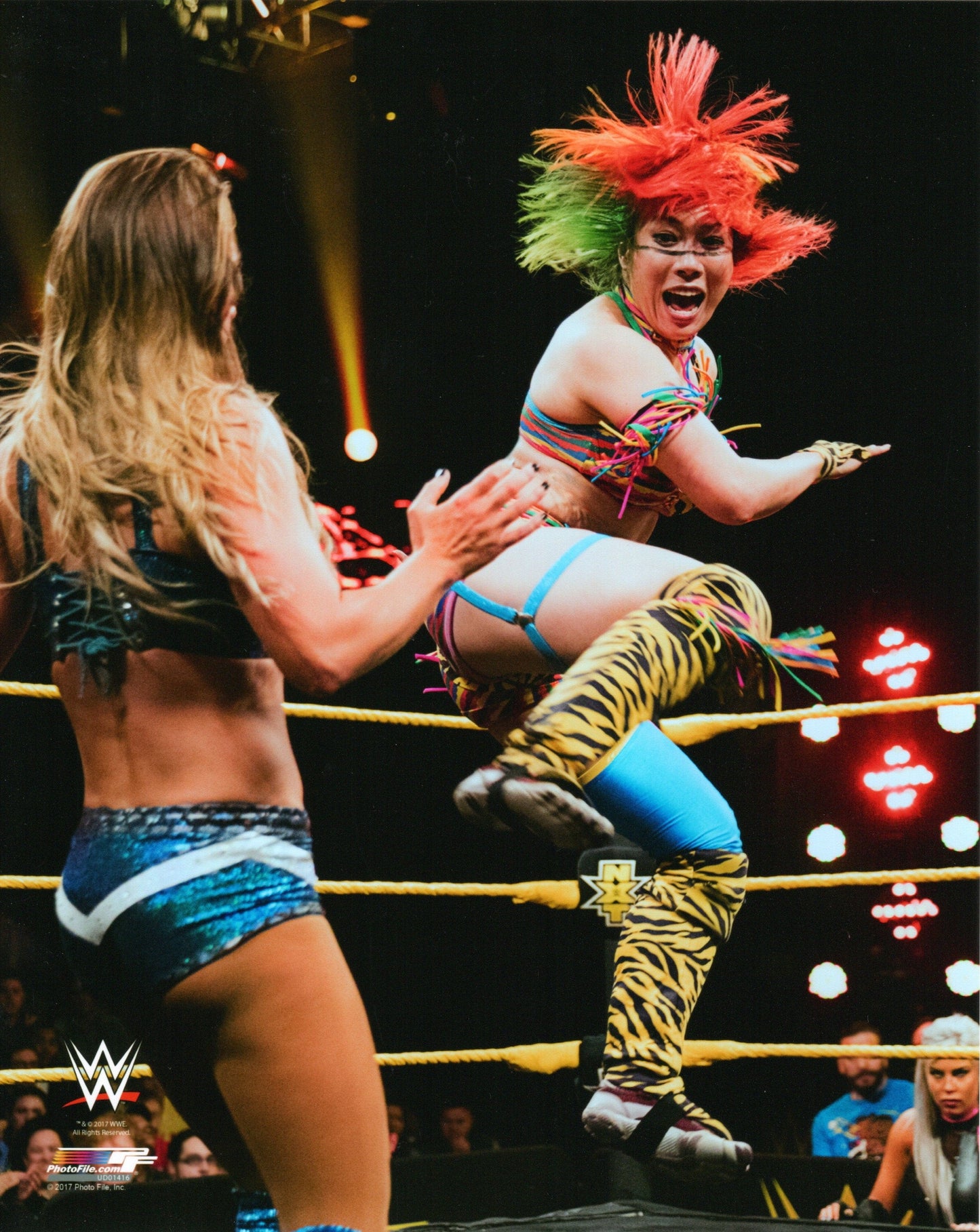 Asuka WWE Photofile 8x10' Photo Wrestling Memorabilia PW Catalog
