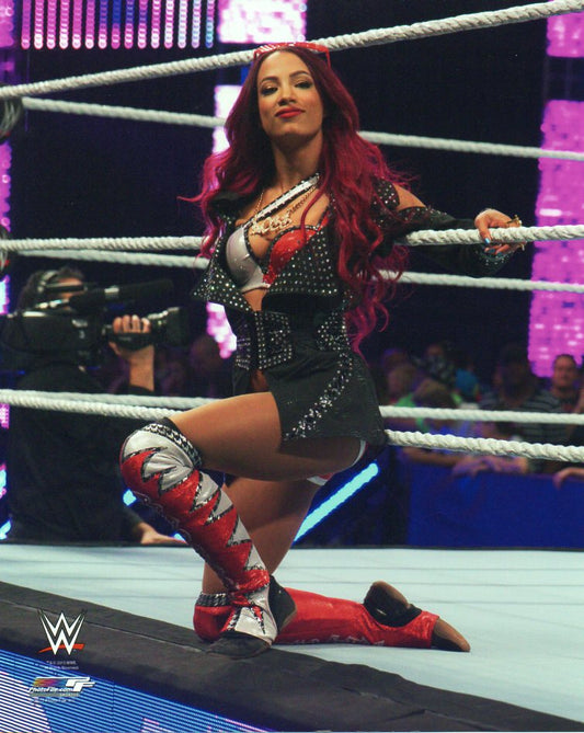 Sasha Banks WWE Photofile 8x10' Photo Wrestling Memorabilia PW Catalog