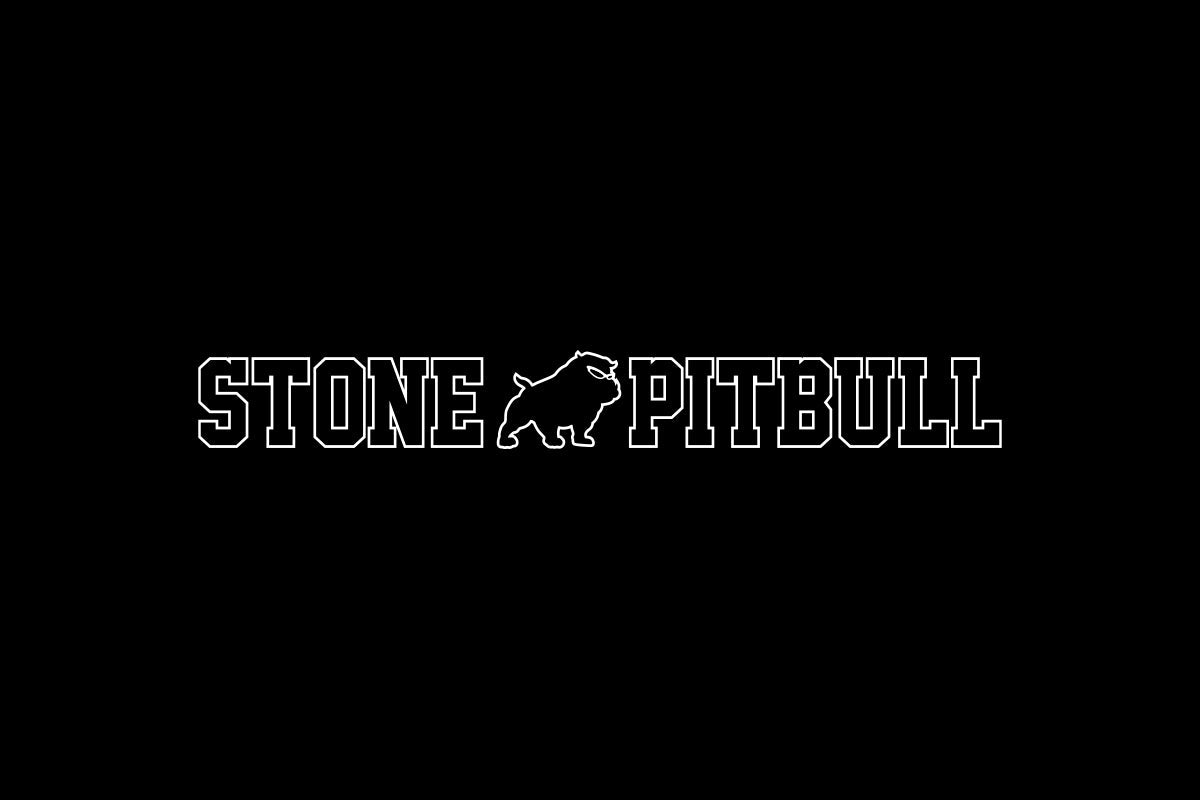 Tomohiro Ishii - STONE PITBULL T-shirt (2026) T-Shirt PW Catalog