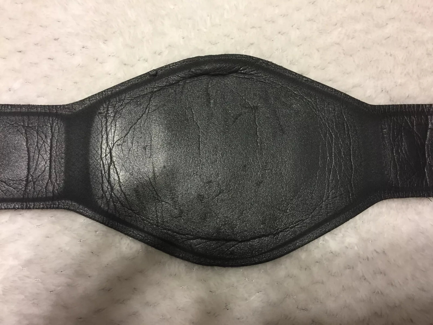 WCW World Championship (with stars and not WCW logo) PWcatalog