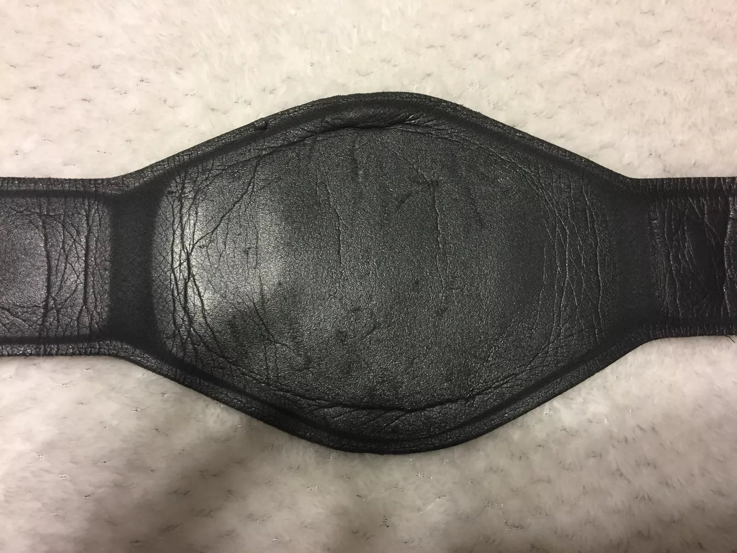 WCW World Championship (with stars and not WCW logo) PWcatalog