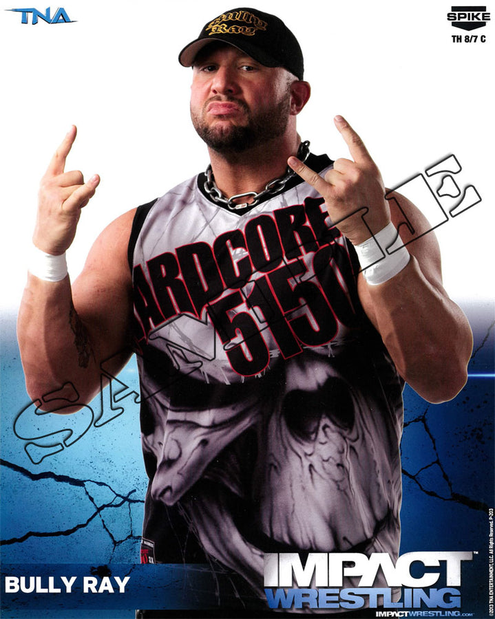 Bully Ray - 8x10