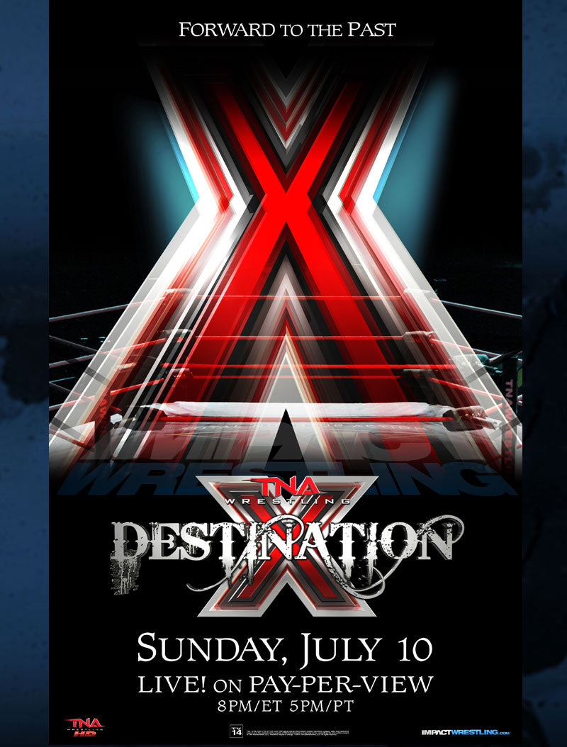 Destination X 2011 Poster