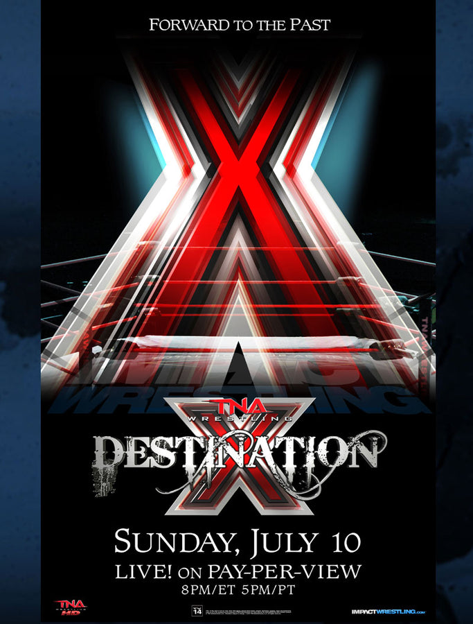 Destination X 2011 Poster