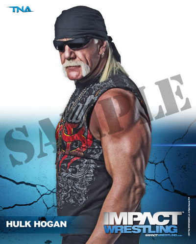 Hulk Hogan - Photo