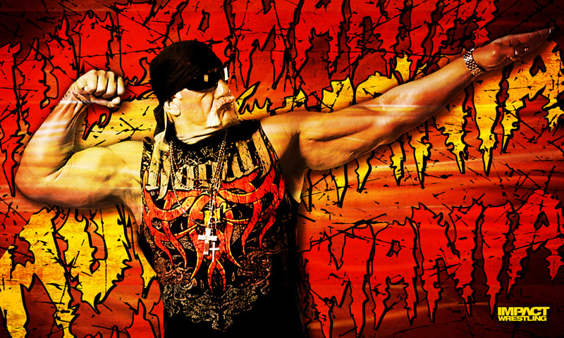Hulk Hogan Banner