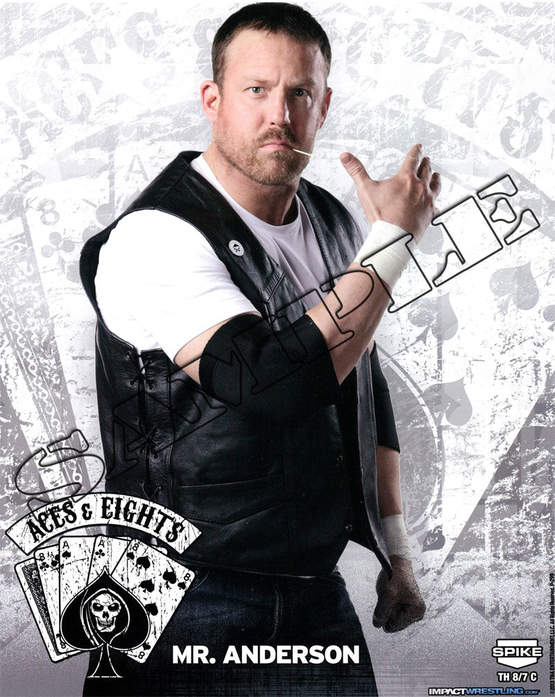 Mr. Anderson - 8x10