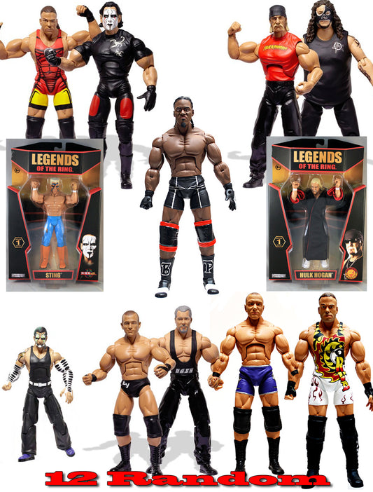 12 Different Action Figures PW Catalog