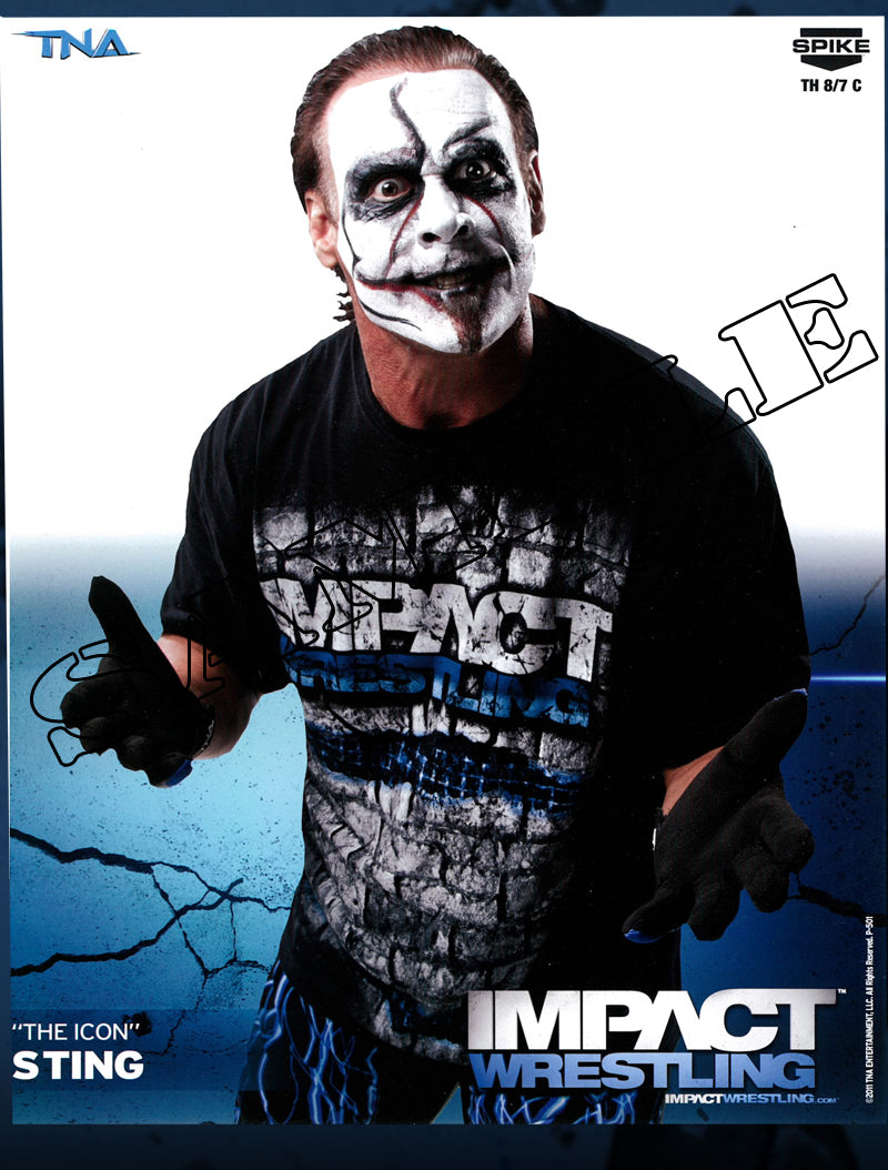 The Icon Sting - Photo