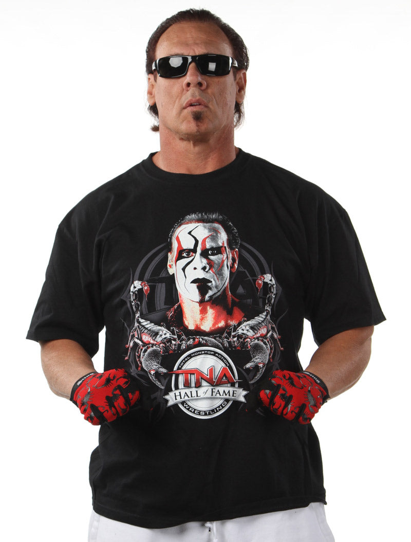 Sting "Hall Of Fame"