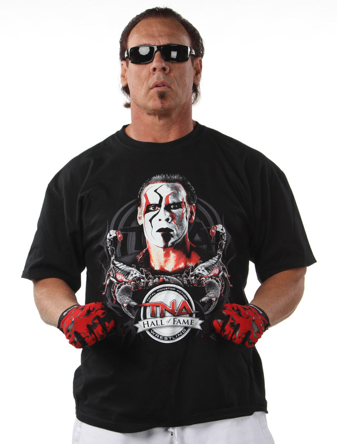 Sting "Hall Of Fame"