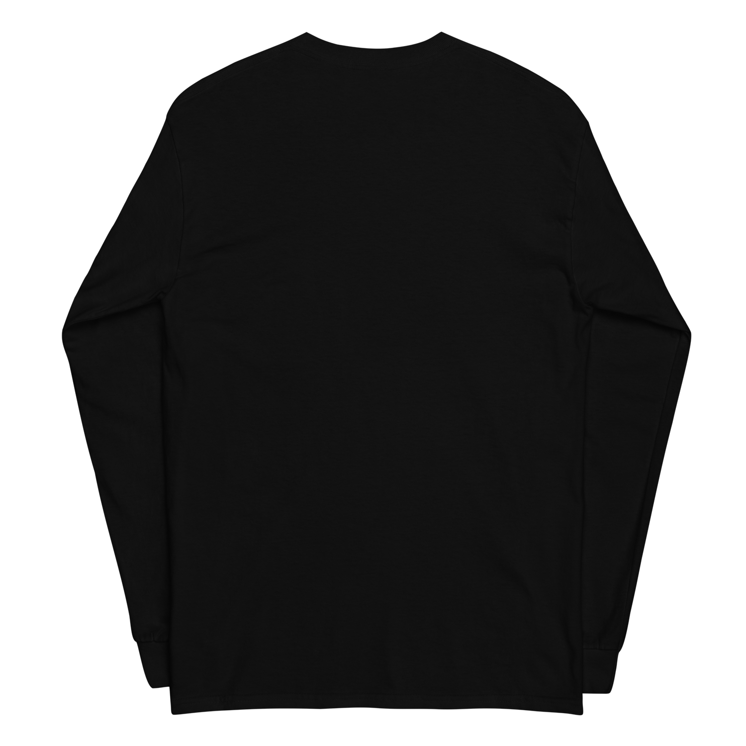 The Hardys "4x World Tag Champions" Longsleeve Longsleeve PW Catalog