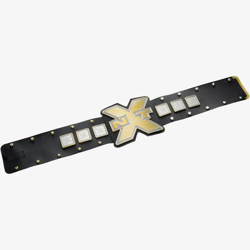 WWE NXT Championship - image 2