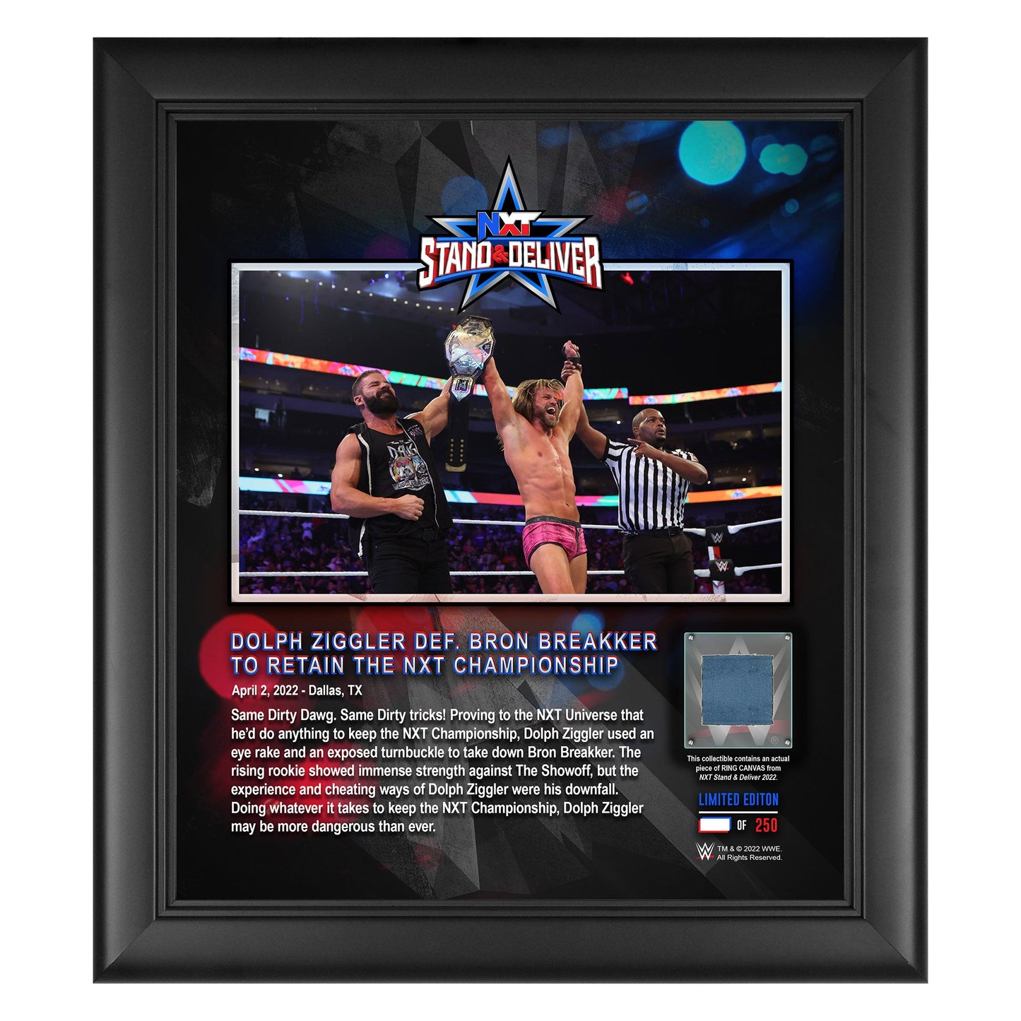 Dolph Ziggler NXT Stand & Deliver 2022 15x17 Commemorative Plaque