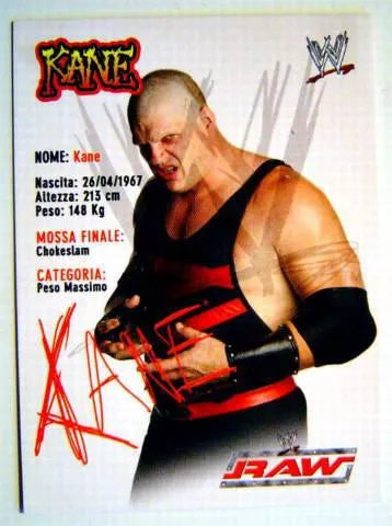 WWE Smackdown CCG 2004 Pwcatalog