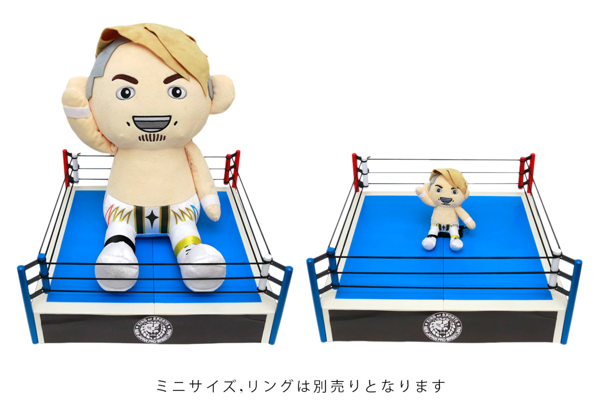 Big Pyonsuke Hiroshi Tanahashi 2 Other Goods PW Catalog