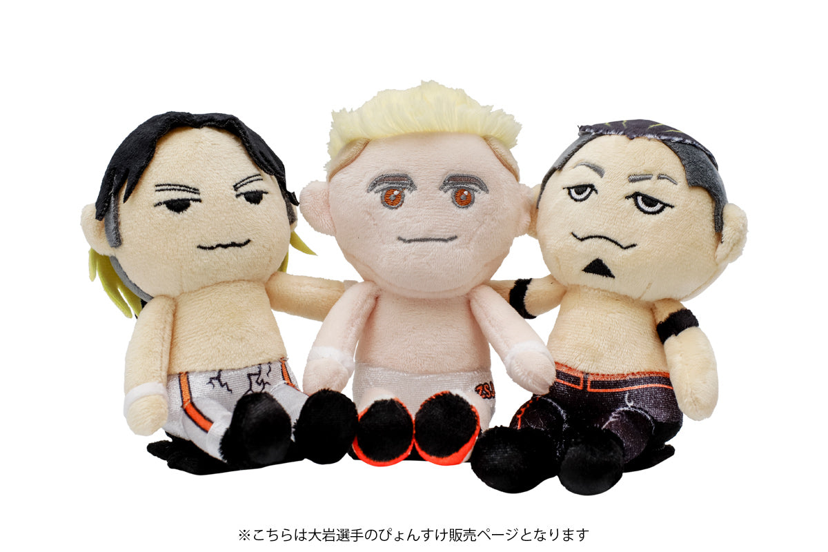 Pyonsuke Ryohei Oiwa Other Goods PW Catalog