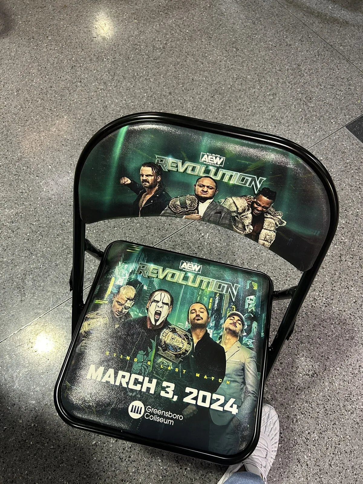 AEW Revolution 2024 Event Chair