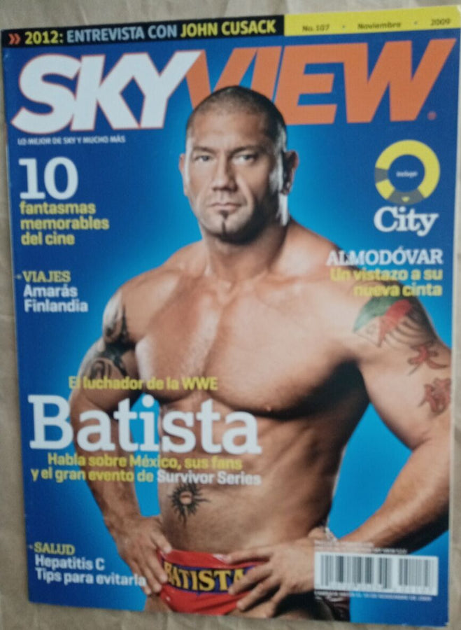 Skyview Magazine November 2009 from Mexico