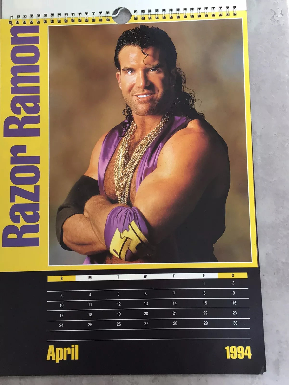 WWF The Official Calendar 1994 Undertaker PW Catalog