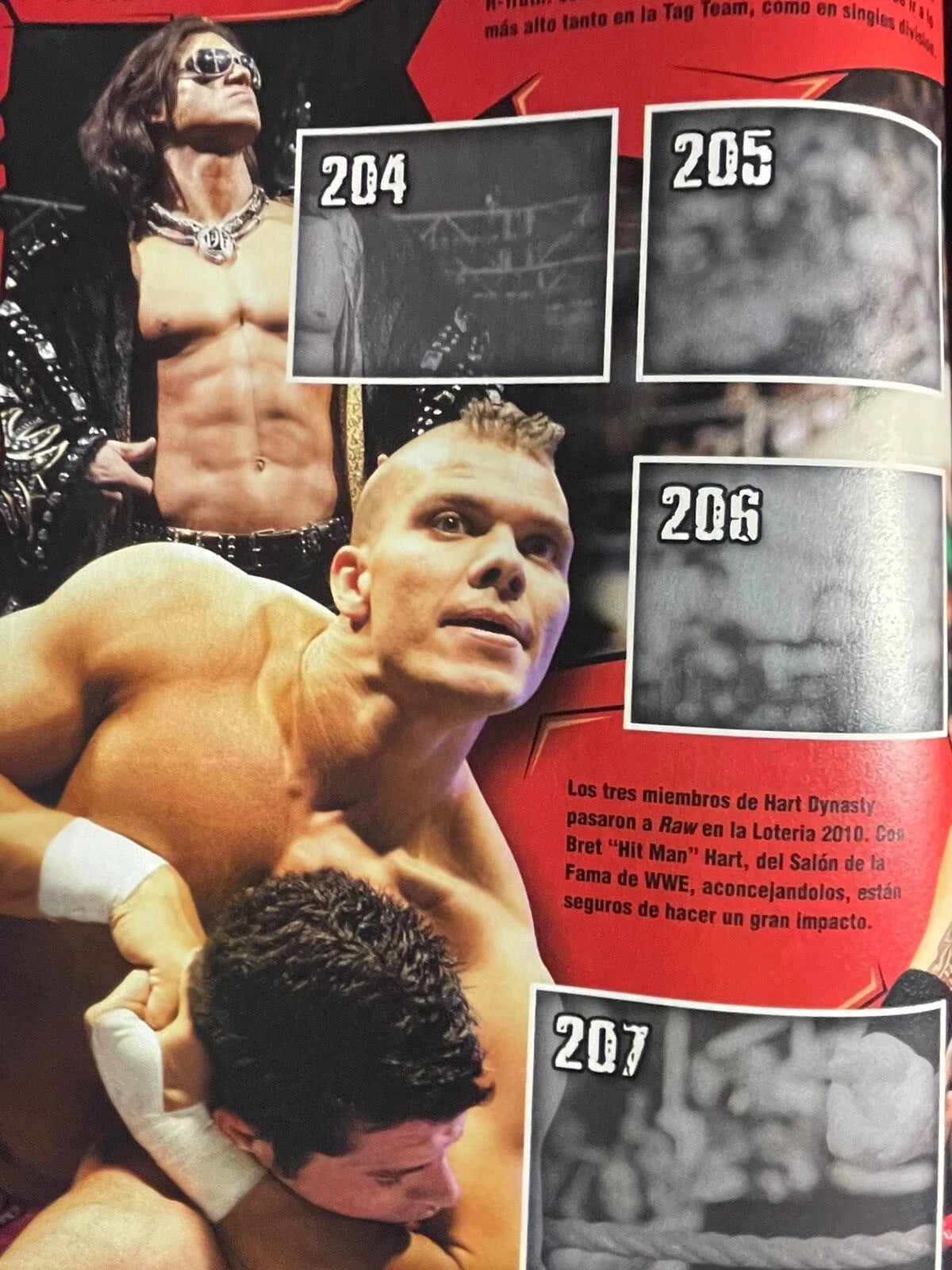 WWE Icons Stickers Album 2010 Stickers Album PW Catalog